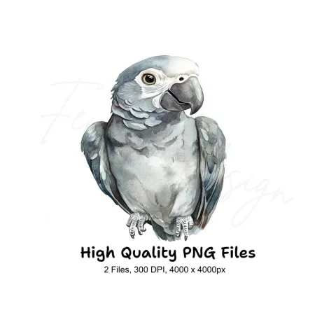 Cute African Grey Parrot Clipart Bundle