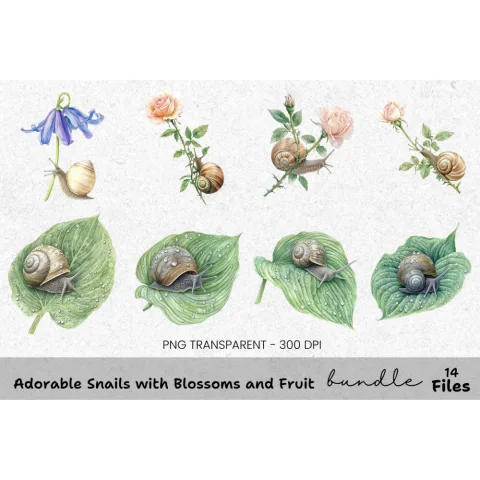 Adorable Snails with Blossoms and Fruit Clipart Bundle