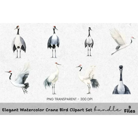 Elegant Crane Bird Clipart Bundle