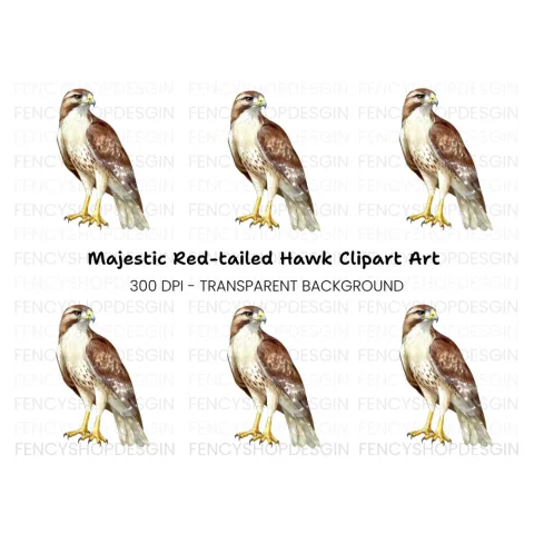 Majestic Red Tailed Hawk Clipart Bundle