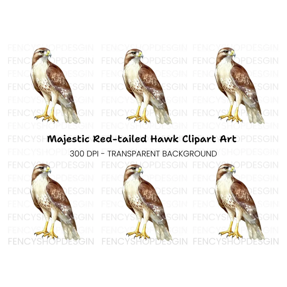 Majestic Red Tailed Hawk Clipart Bundle