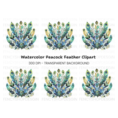 Peacock Feather Arrangement Clipart Bundle