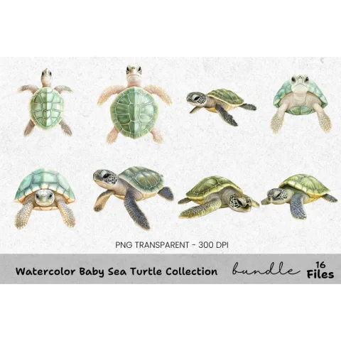 Baby Sea Turtle Clipart Bundle