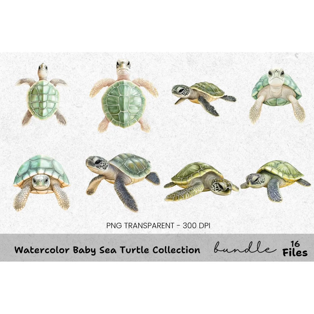 Baby Sea Turtle Clipart Bundle