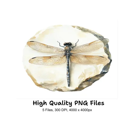 Dragonfly on Stone Clipart Bundle