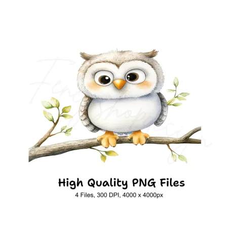 Cute Owl Clipart Bundle