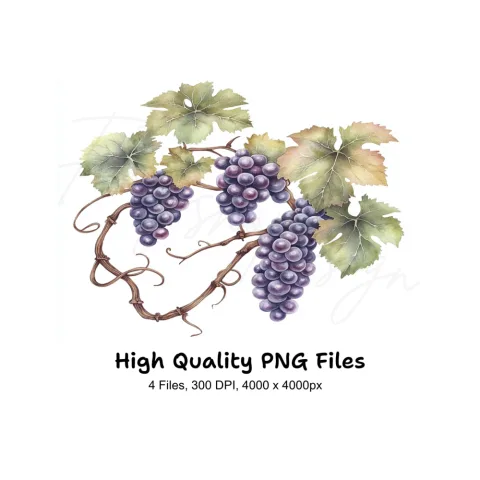Elegant Grape Cluster Clipart Bundle