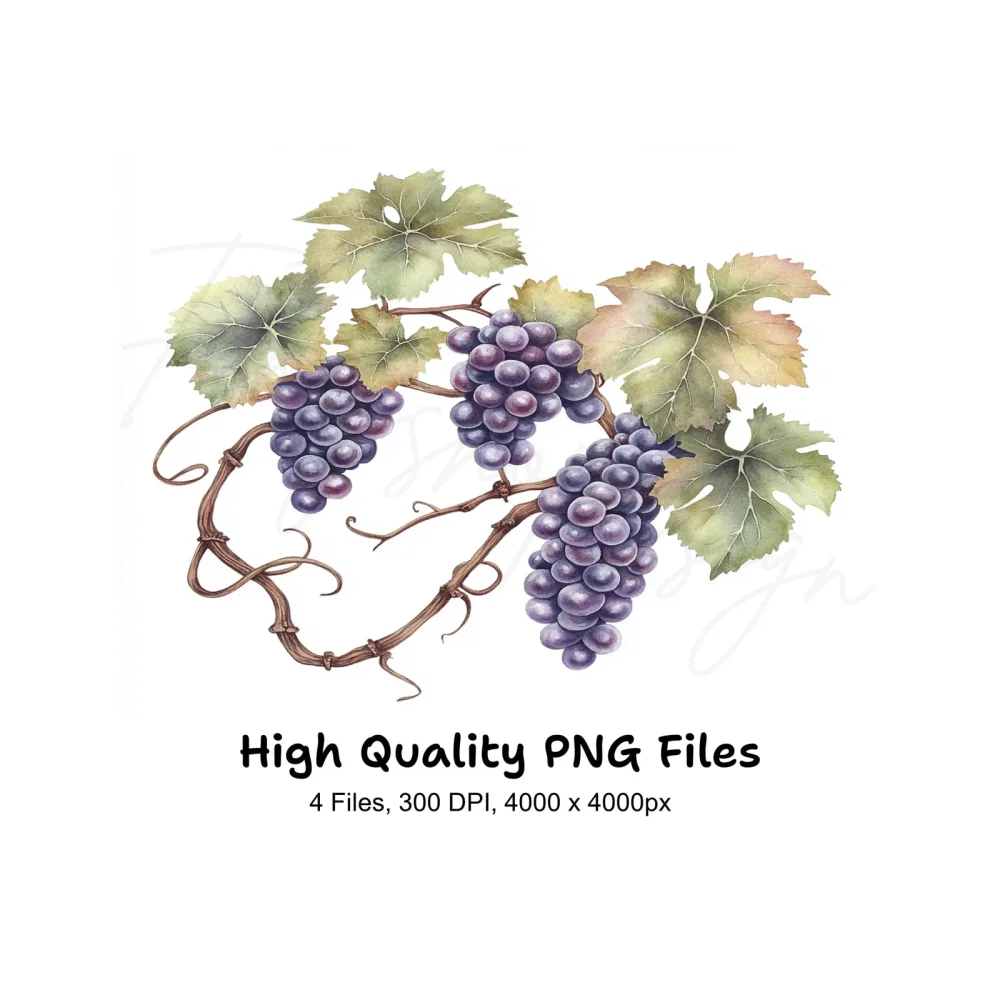 Elegant Grape Cluster Clipart Bundle
