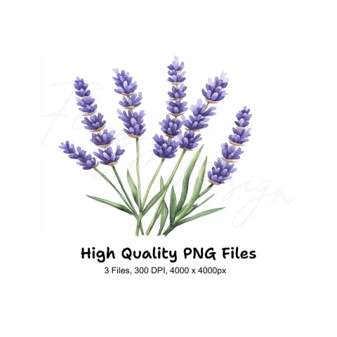 Lavender Clipart Bundle