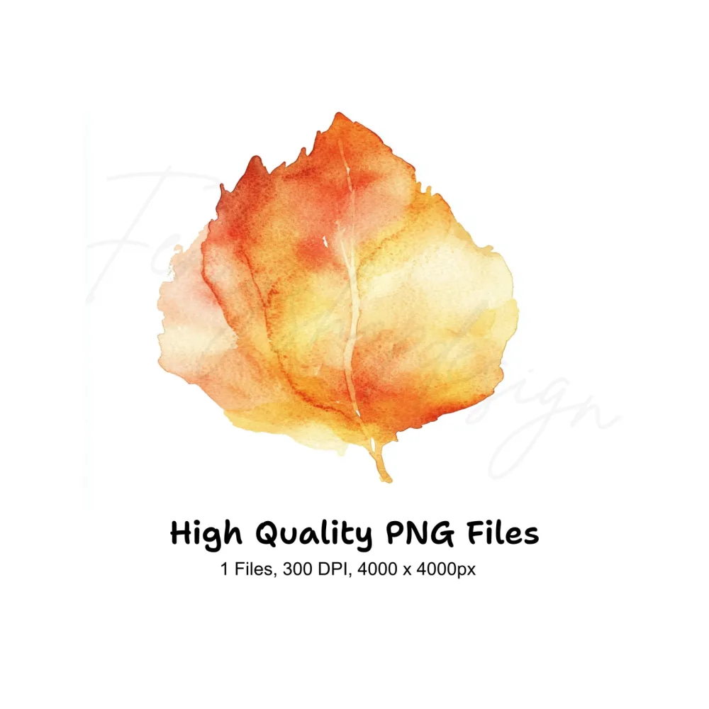 Autumn Leaf Clipart Bundle