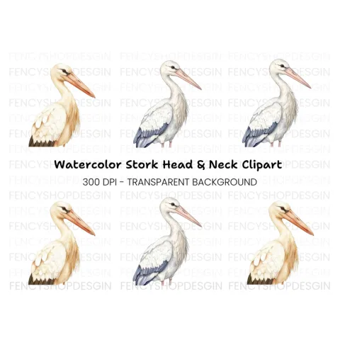 Stork Illustrations Clipart Bundle