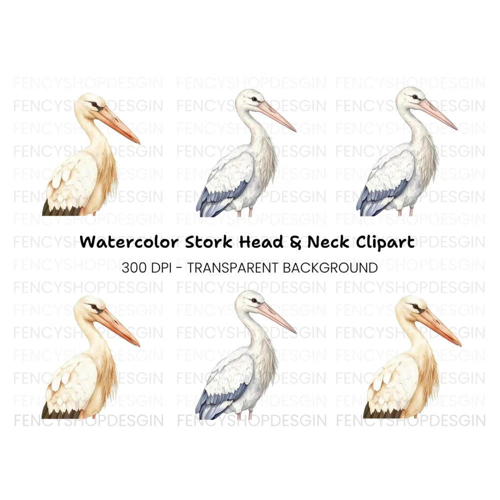 Stork Illustrations Clipart Bundle