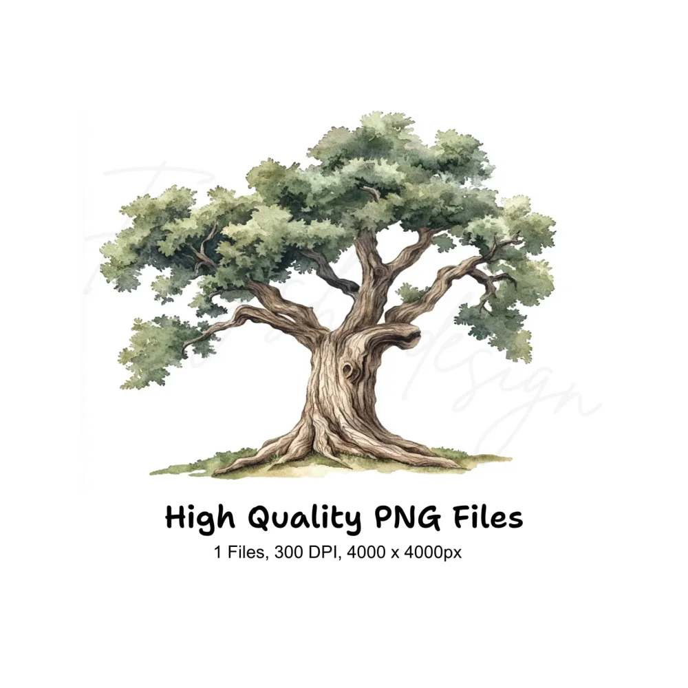 Sturdy Green Oak Tree Clipart Bundle