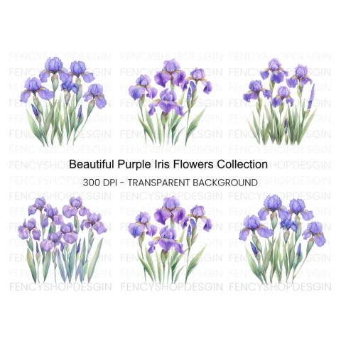 Elegant Purple Iris Flower Clipart Bundle