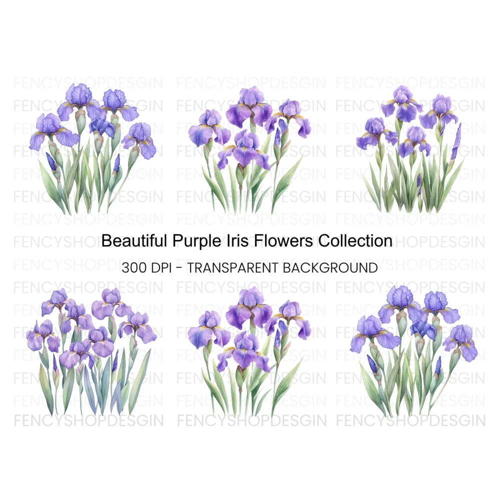 Elegant Purple Iris Flower Clipart Bundle