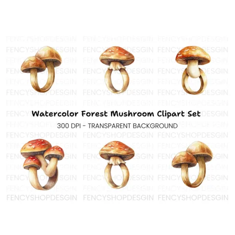 Mushroom Clipart Bundle