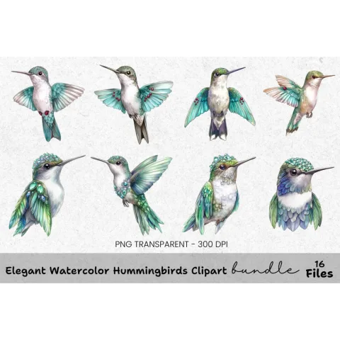 Elegant Hummingbirds Clipart Bundle
