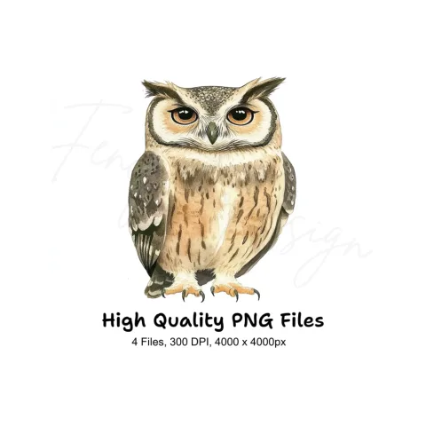 Cute Owl Illustrations Clipart Bundle