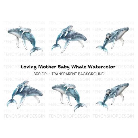 Mother and Baby Humpback Whale Clipart Bundle