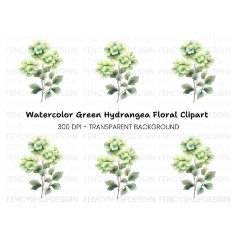 Green Hydrangea Clipart Bundle