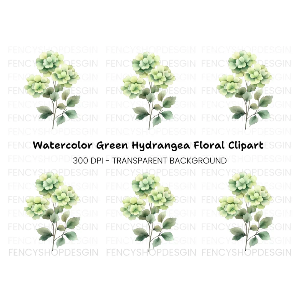 Green Hydrangea Clipart Bundle