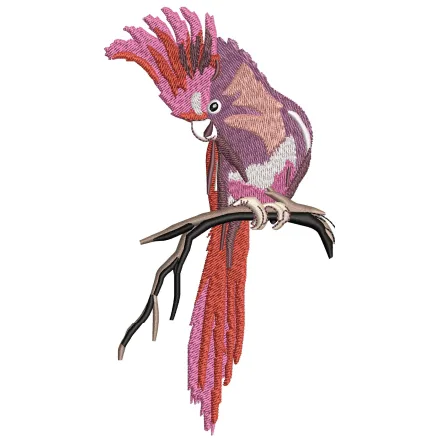 Parrot Embroidery Design