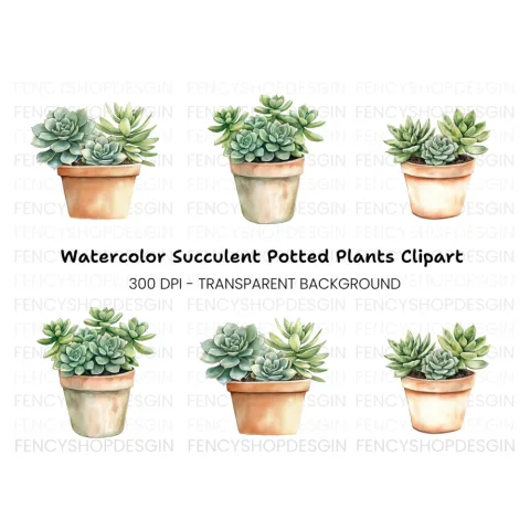 Succulent Plant Pot Clipart Bundle