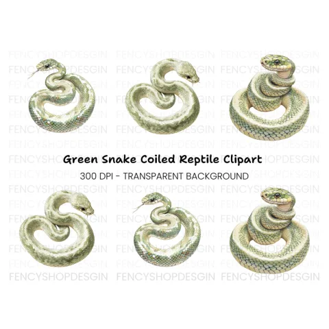 Green Tree Python Clipart Bundle