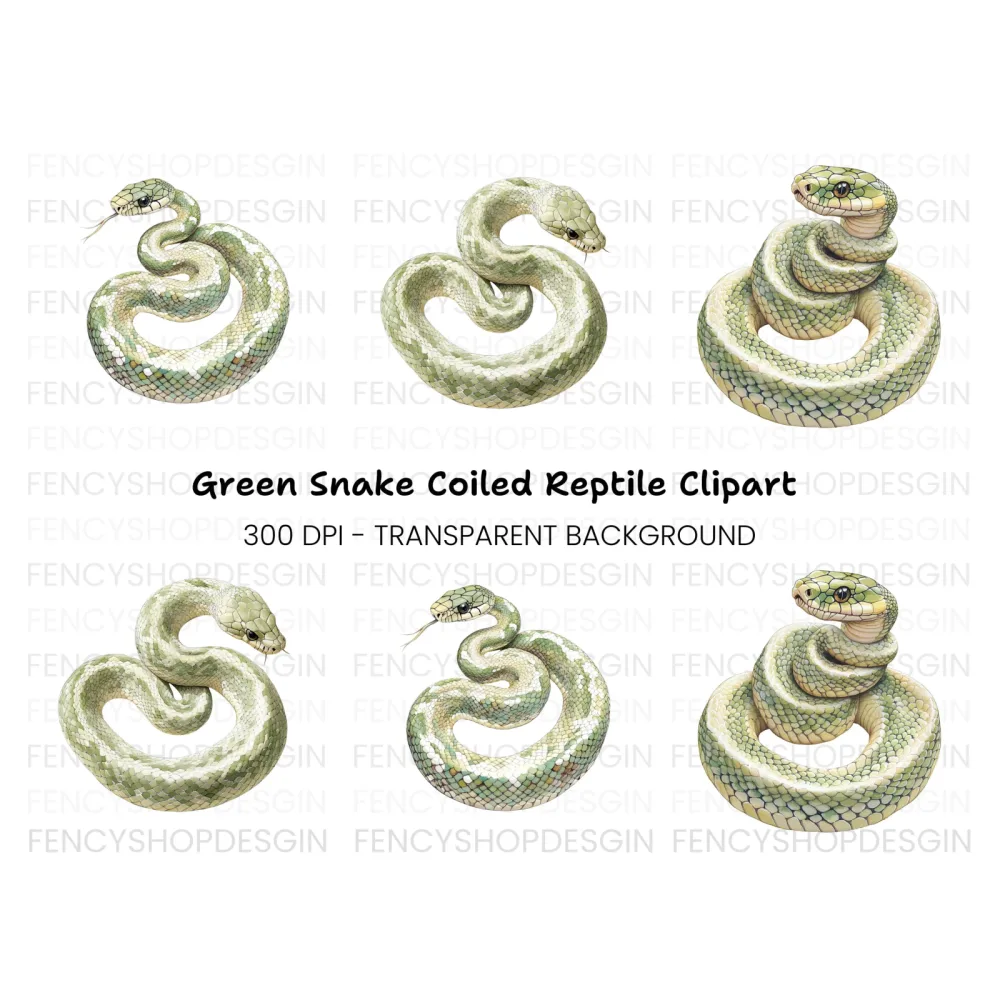 Green Tree Python Clipart Bundle