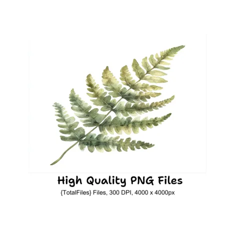 Fern Leaves Clipart Bundle