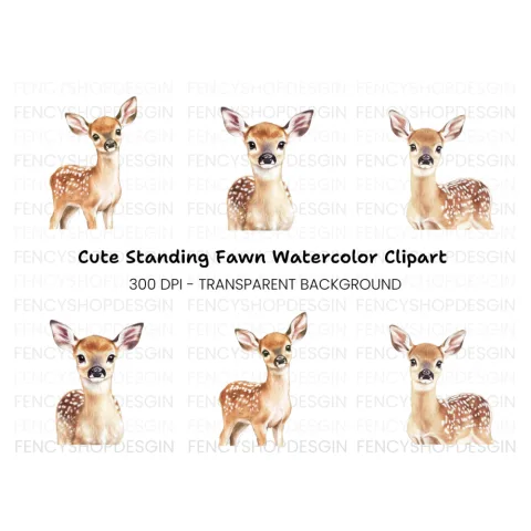 Cute Fawn Faces and Poses Clipart Bundle