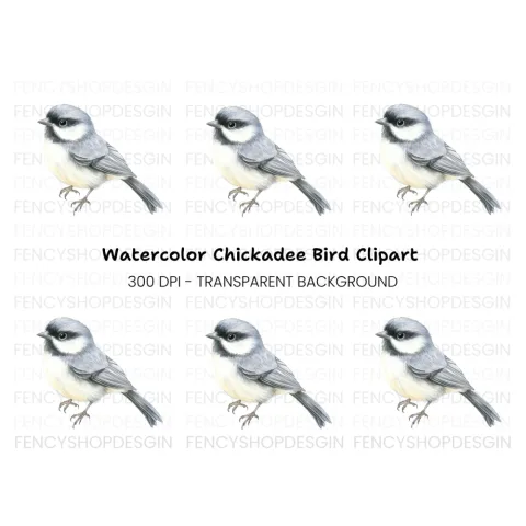 Elegant Grey Chickadee Bird Clipart Bundle
