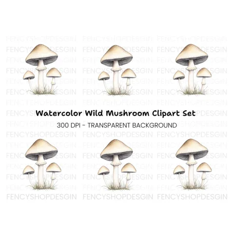 Forest Mushroom Clipart Bundle