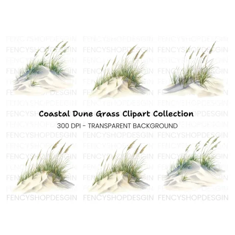 Beach Dune Grass Sand Clipart Bundle