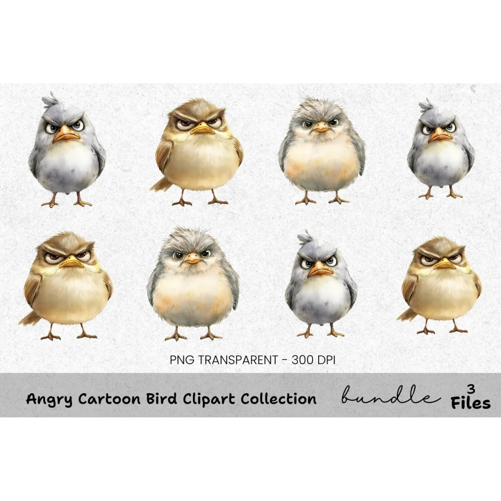 Angry Cartoon Bird Clipart Bundle