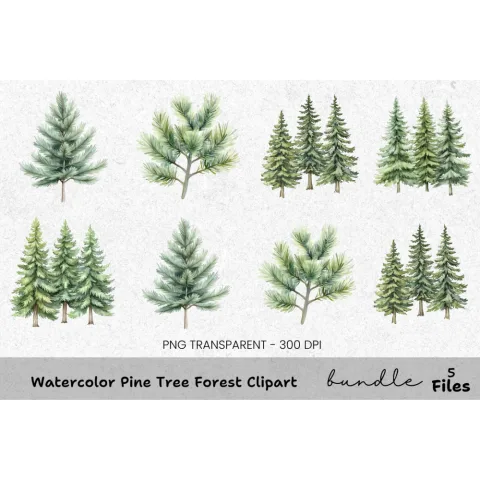 Pine Tree Forest Clipart Bundle