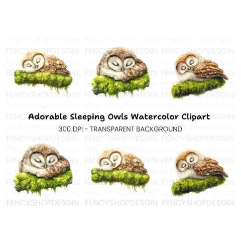 Sleeping Baby Owls on Moss Clipart Bundle