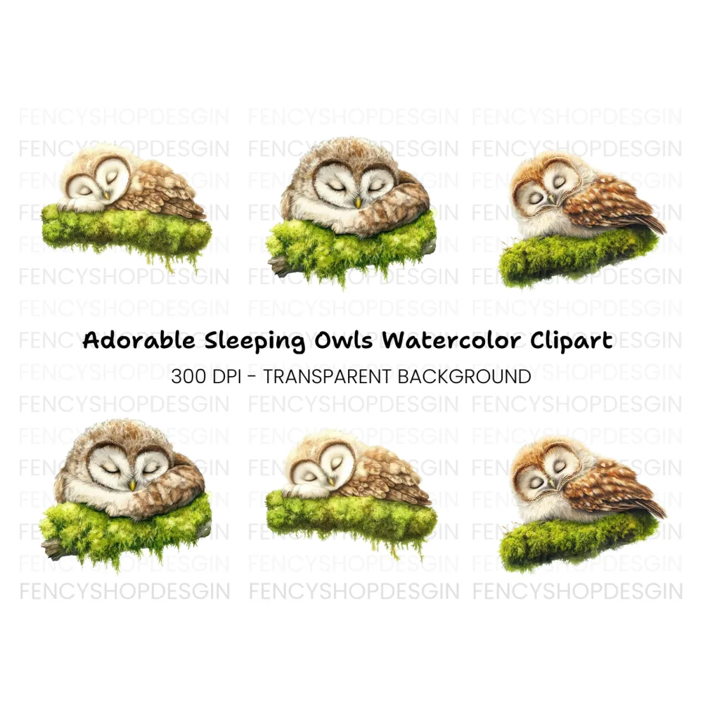 Sleeping Baby Owls on Moss Clipart Bundle