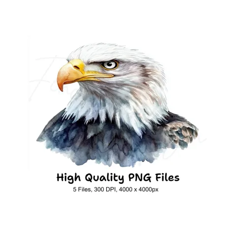 Majestic Eagle Head Clipart Bundle