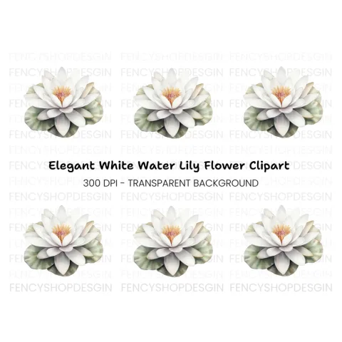 Elegant White Water Lily Clipart Bundle