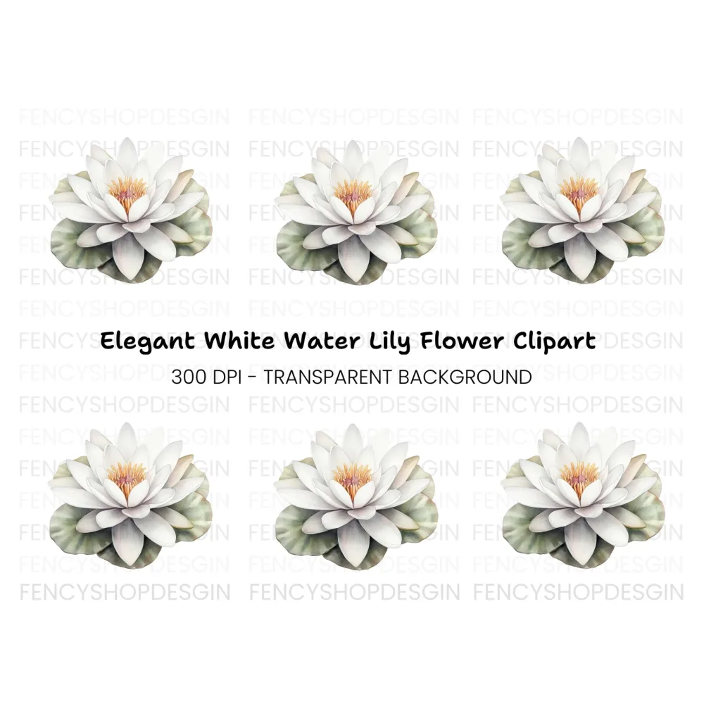Elegant White Water Lily Clipart Bundle