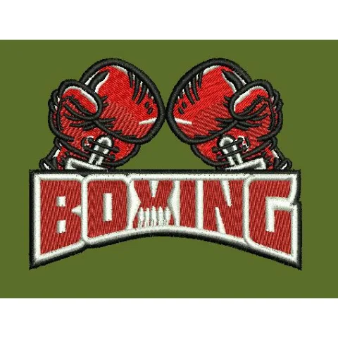 Stylized Boxing Embroidery Design