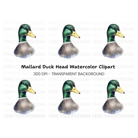 Mallard Duck Head Clipart Bundle