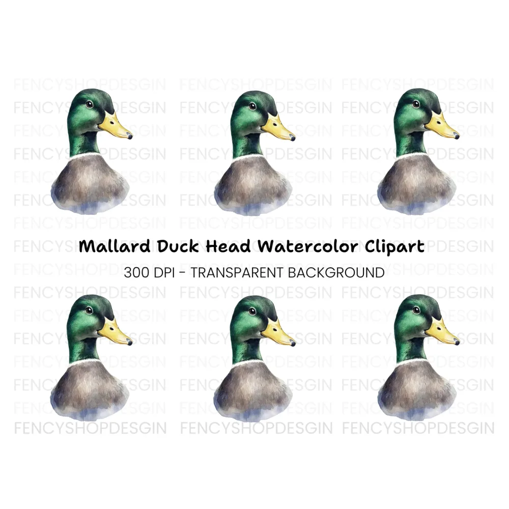 Mallard Duck Head Clipart Bundle