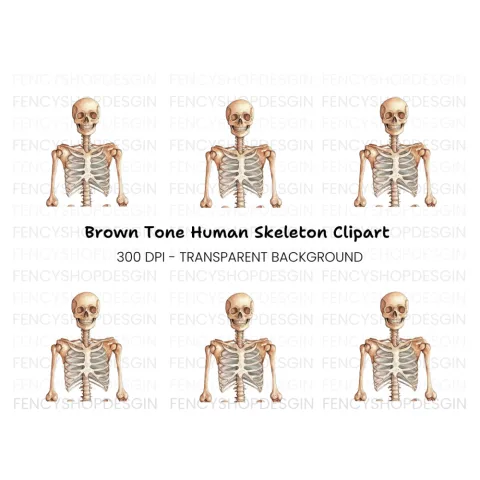 Human Skeleton Anatomy Clipart Bundle