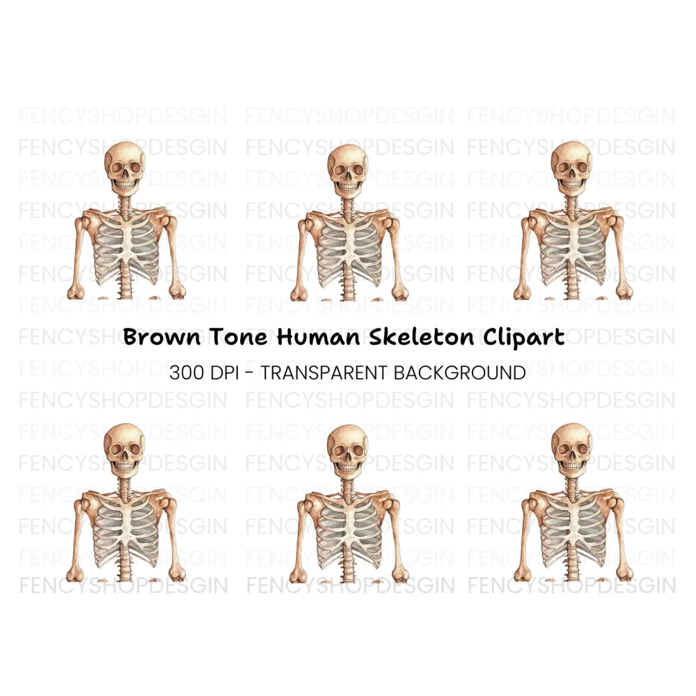 Human Skeleton Anatomy Clipart Bundle