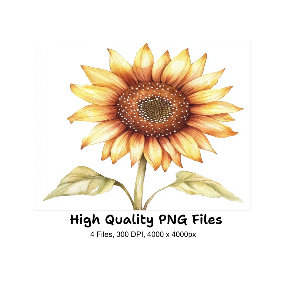 Sunflower Clipart Bundle