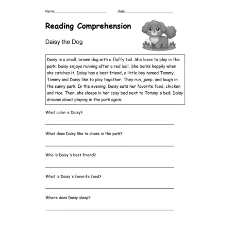 Daisy the Dog Reading Comprehension Worksheet