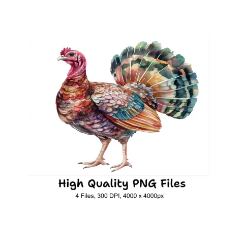 Thanksgiving Turkey Clipart Bundle