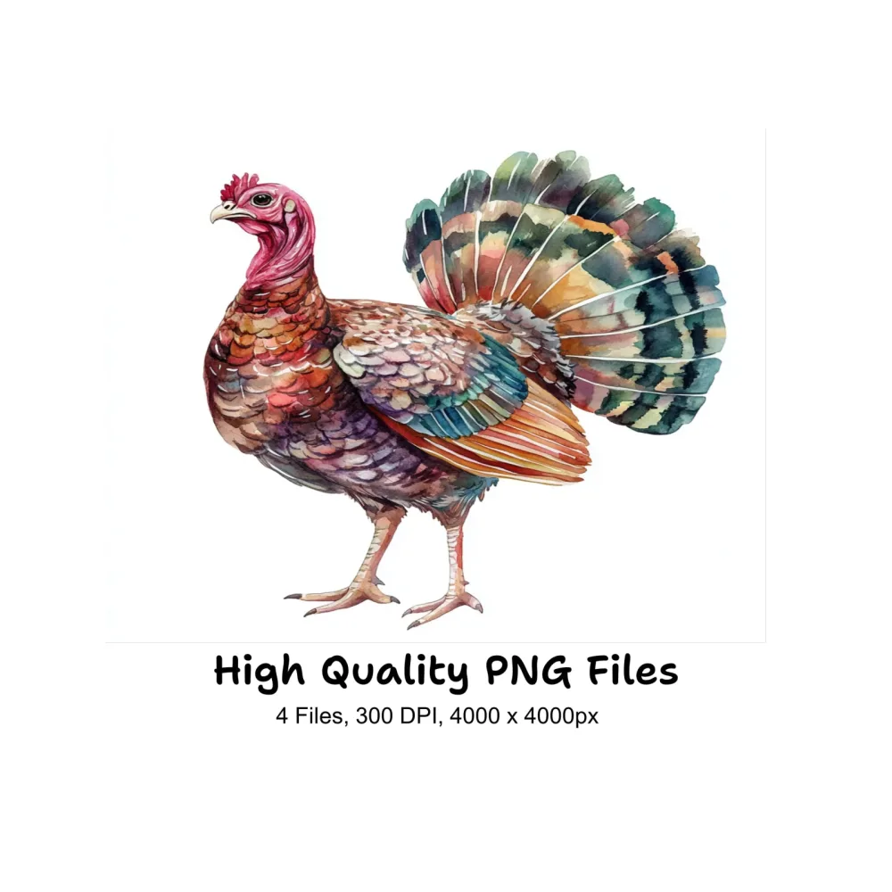 Thanksgiving Turkey Clipart Bundle